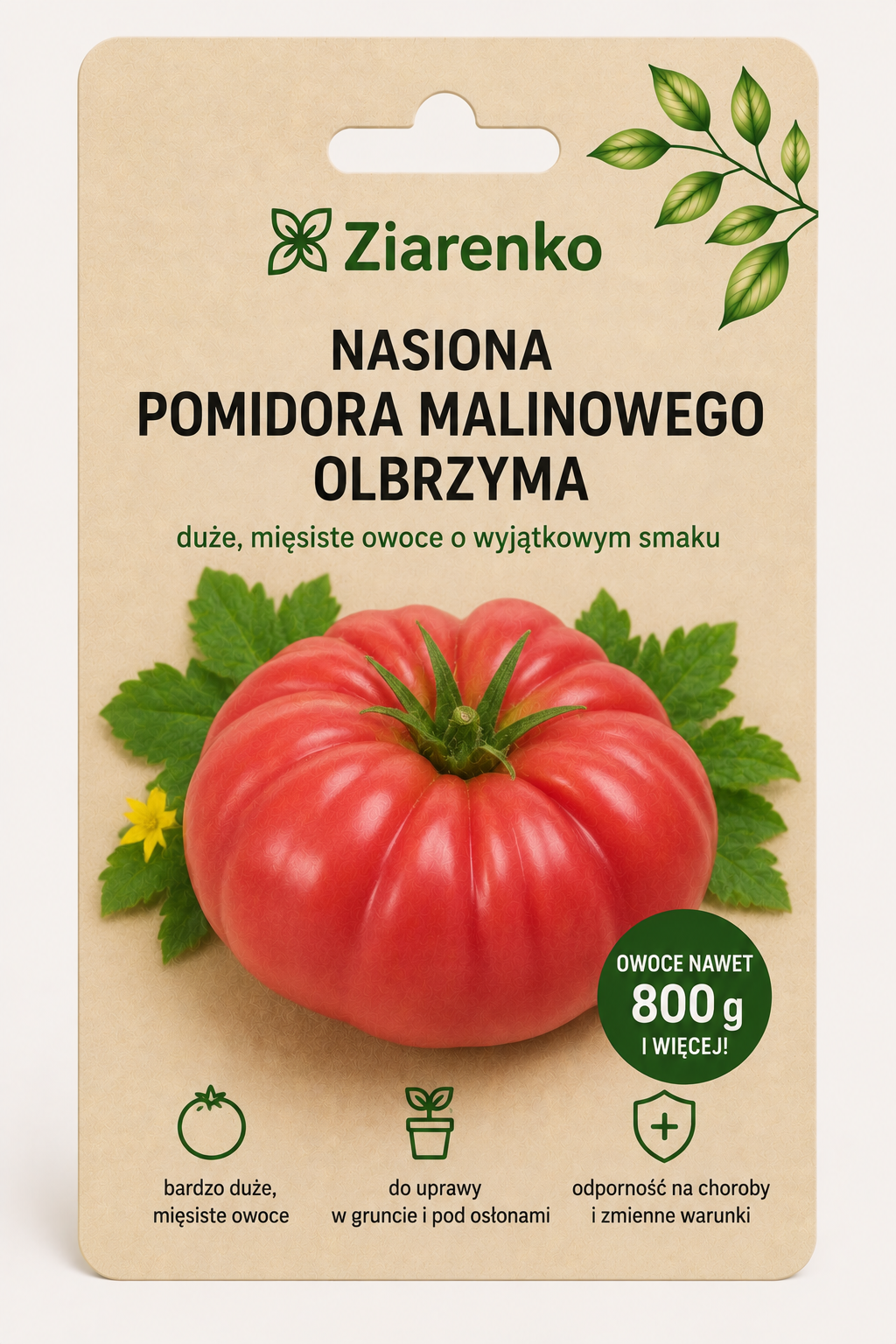 Nasiona pomidora malinowego „Olbrzym”