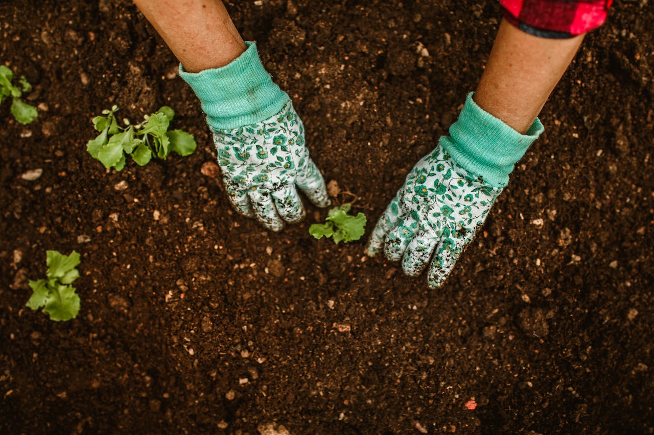 hero-img-01 Close-up of hands in gardening gloves planting seedlings in rich soil outdoors.