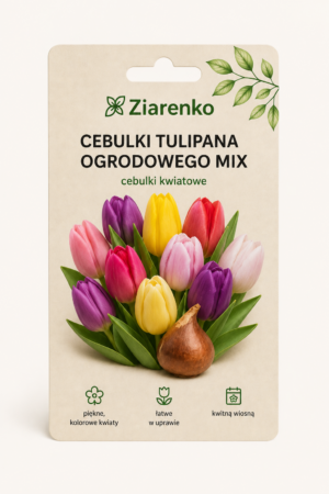 Cebulki Tulipana Ogrodowego Mix