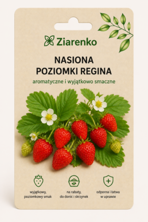Nasiona Poziomki Regina