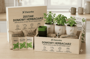 Zestaw "Domowy Herbaciarz" – Świeże Zioła do Twojego Kubka